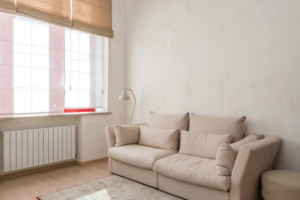 Gestion efficace du frelon asiatique à paris : enjeux clés à connaître