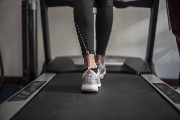 Comment choisir un tapis qui ne s'abîme pas avec les animaux de compagnie ?