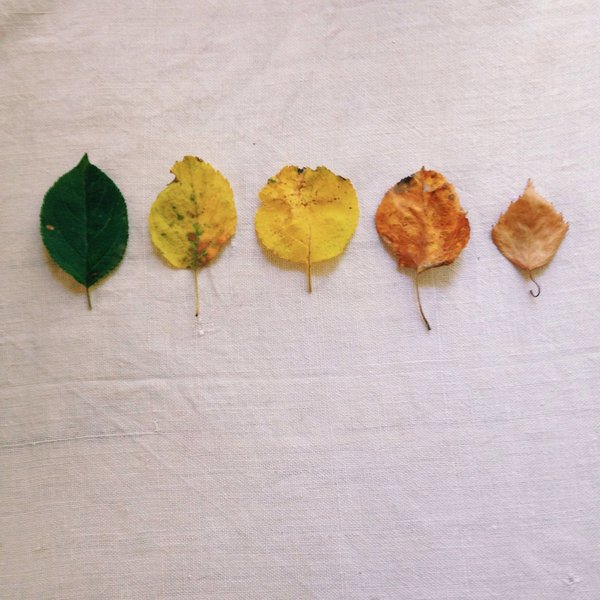 Comment aménager une chambre d'enfant qui grandira avec eux ?